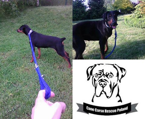 Relacja z domku Zoyki <3